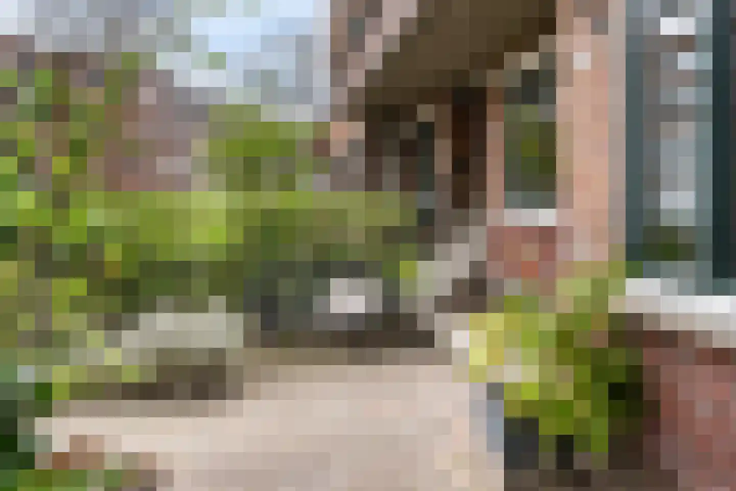 Breitnerstraat 58 B Rotterdam thumbnail 5