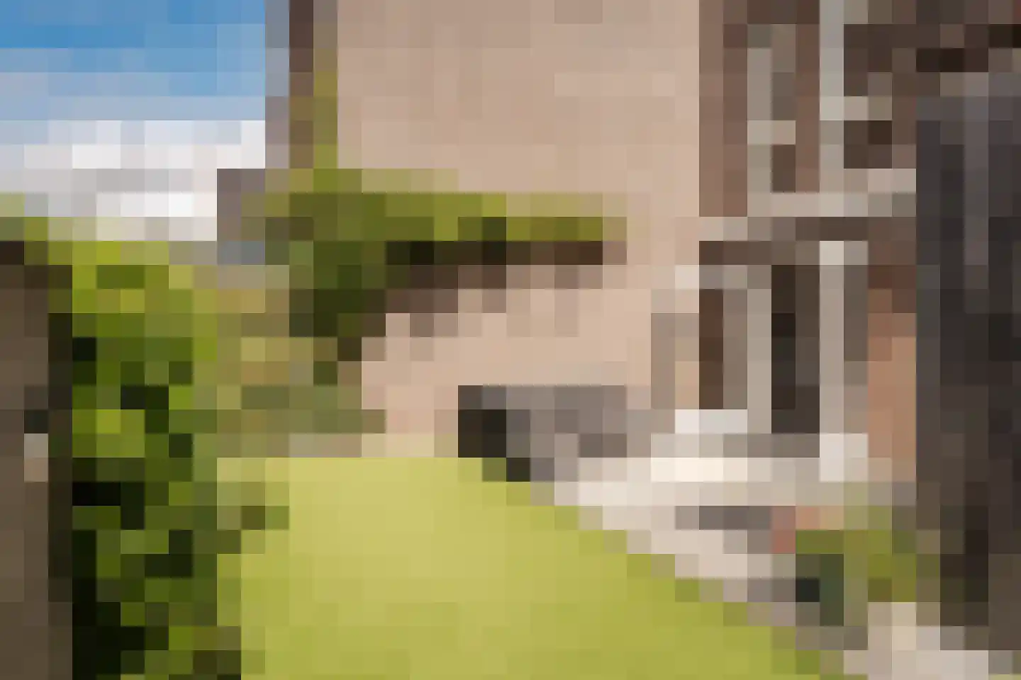 Breitnerstraat 6 Haarlem thumbnail 44