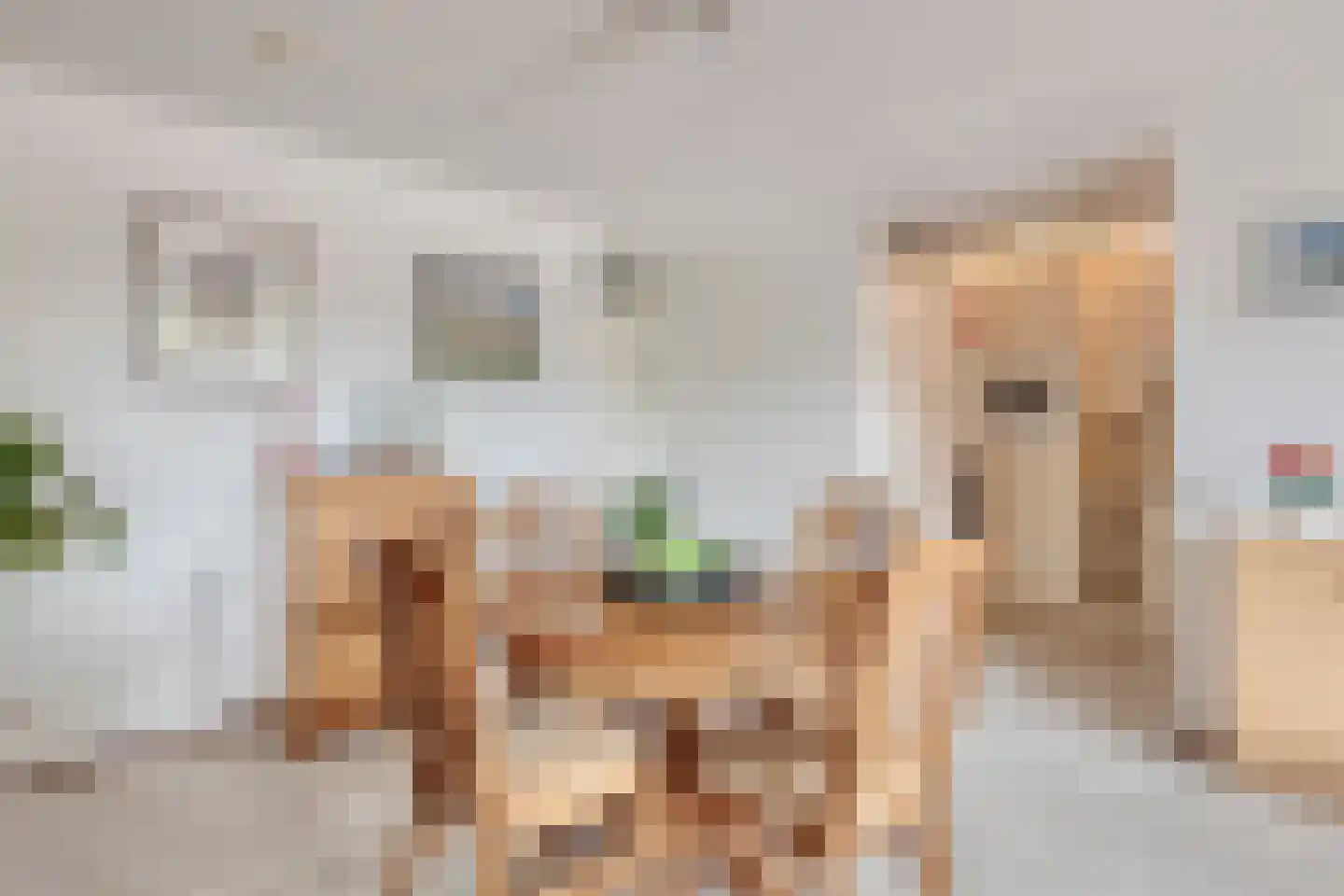 Breitnerstraat 61 Goes thumbnail 19