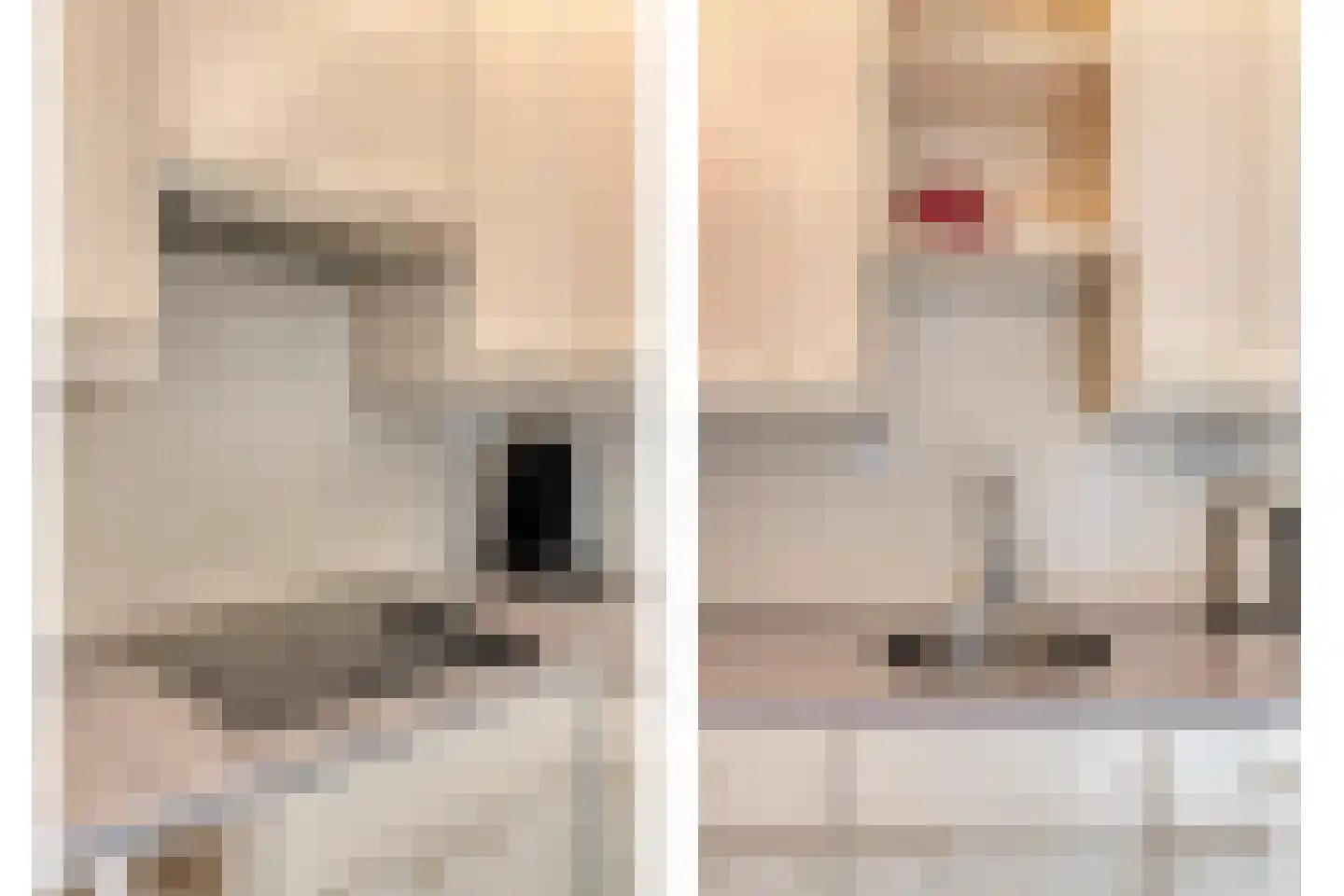 Breitnerstraat 61 Goes thumbnail 20