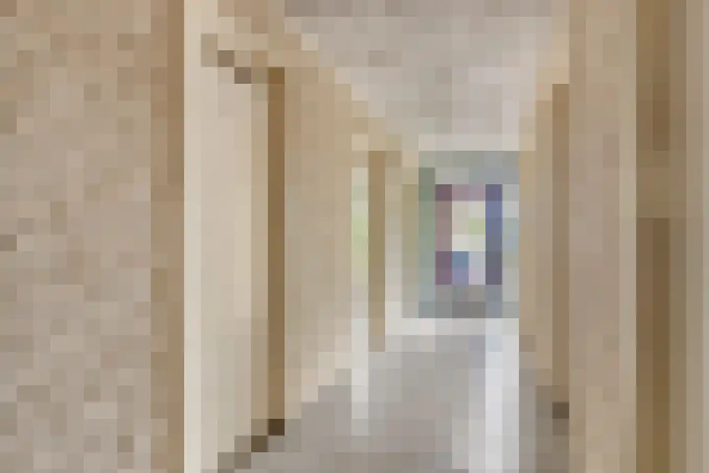 Breitnerstraat 61 Goes thumbnail 32