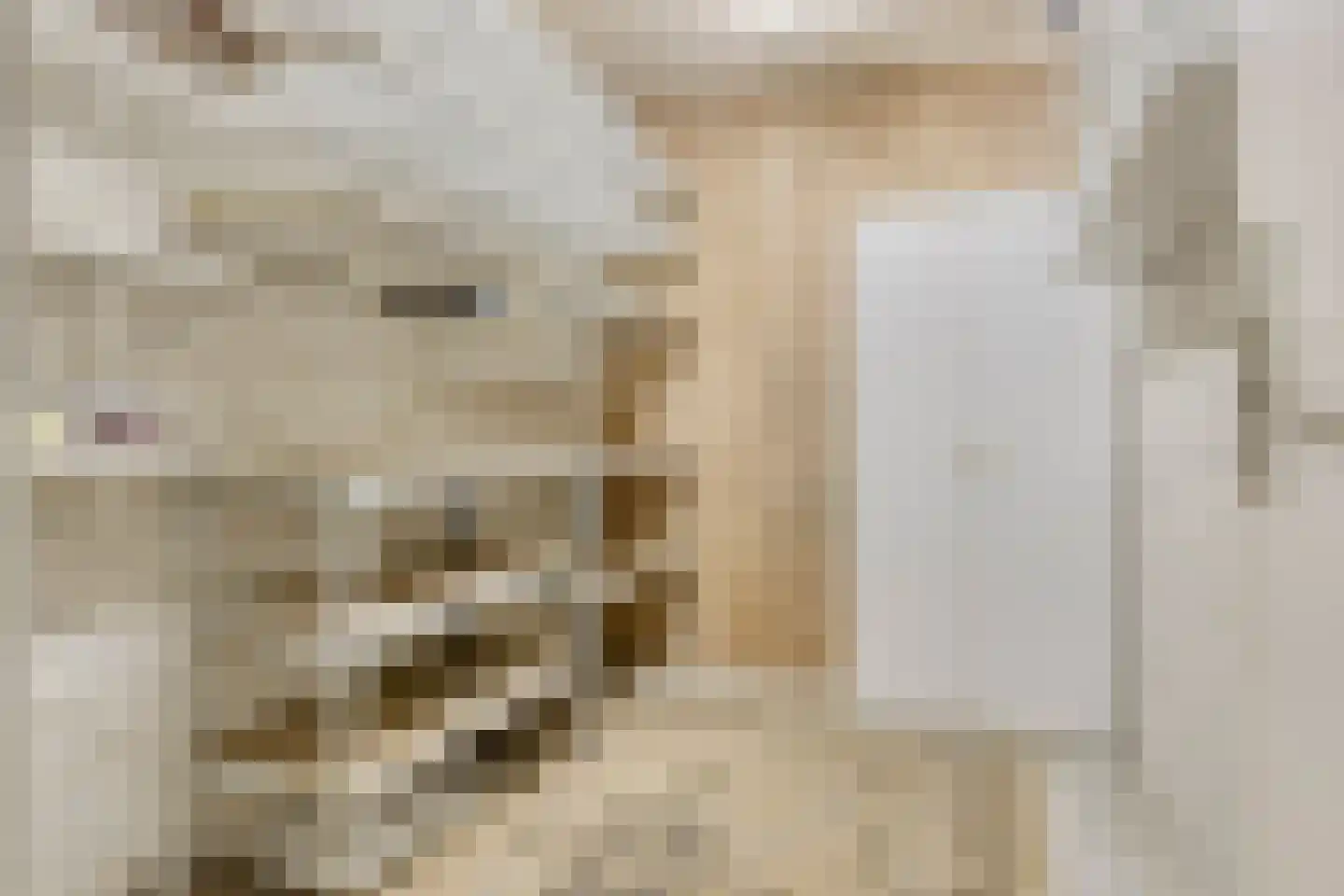 Breitnerstraat 61 Goes thumbnail 33