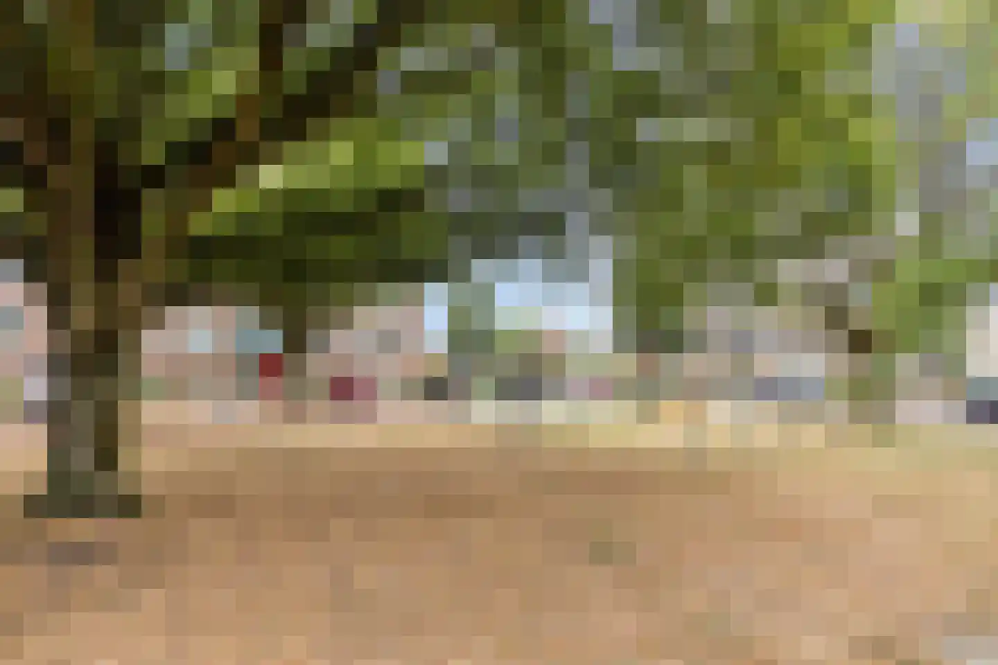 Breitnerstraat 61 Goes thumbnail 37