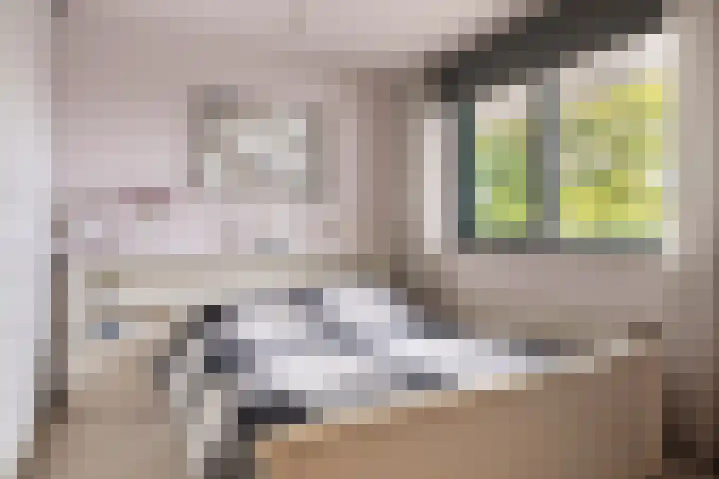 Breitnerstraat 61 Goes thumbnail 5