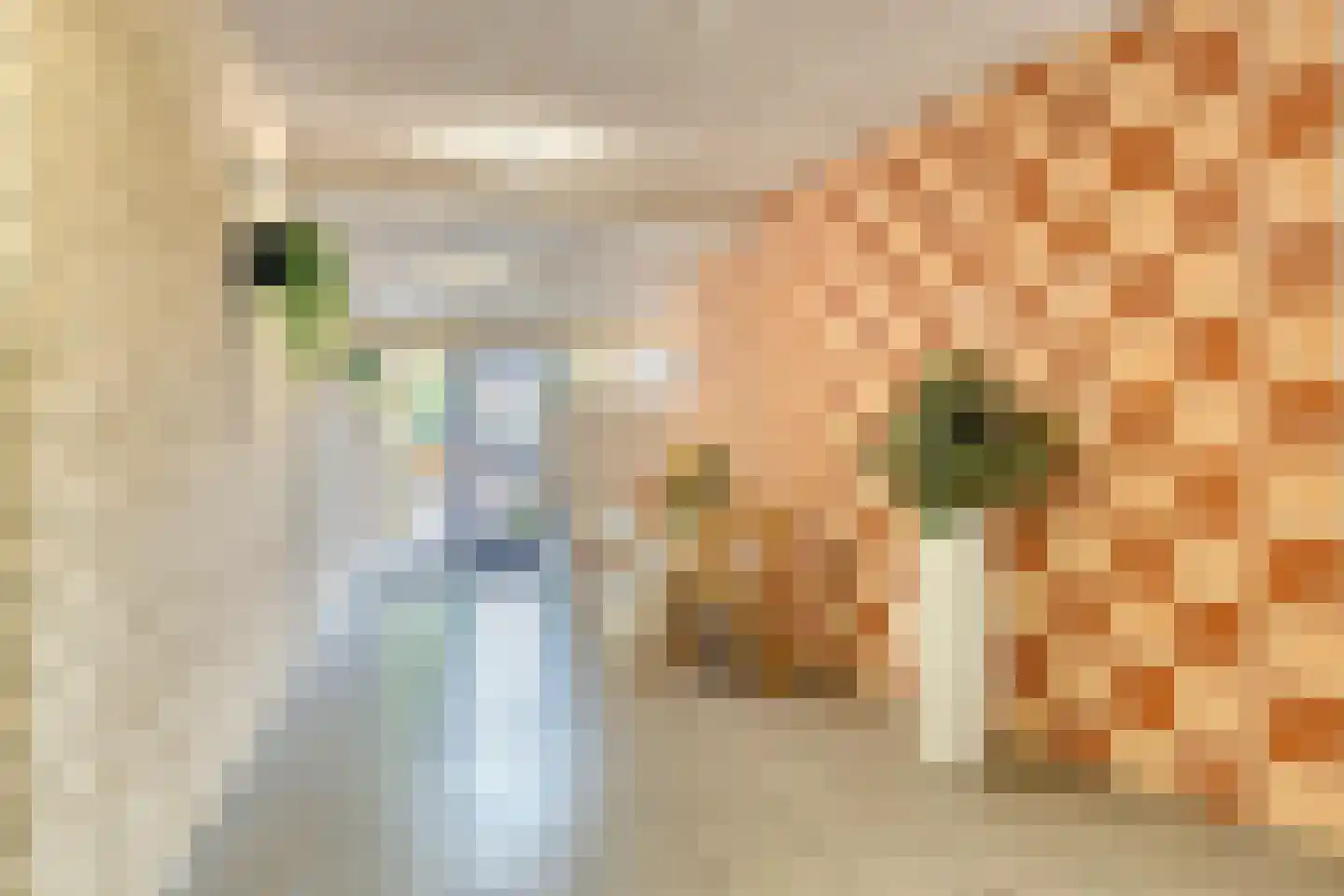 Breitnerstraat 61 Goes thumbnail 8