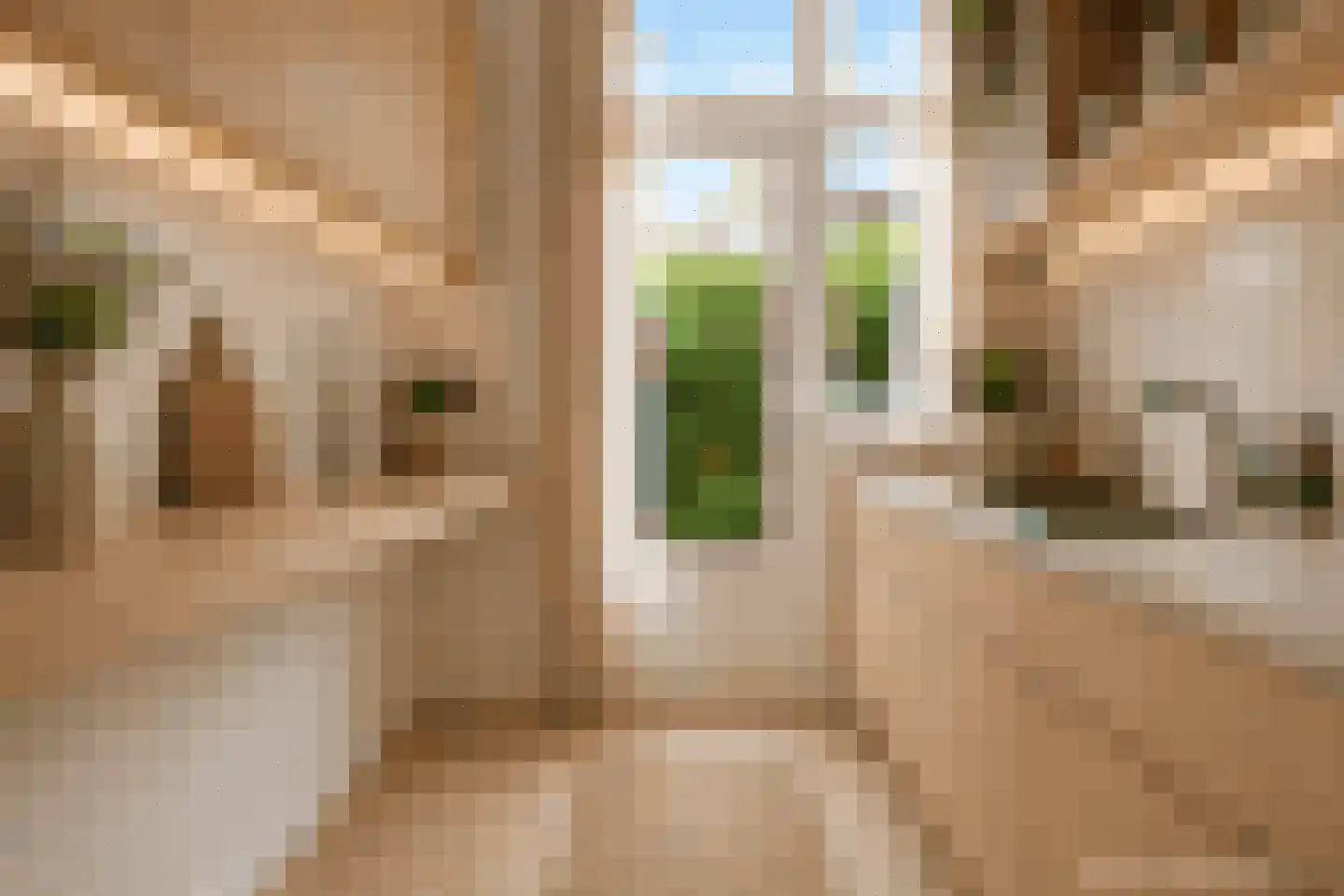 Breitnerstraat 71 Arnhem thumbnail 15