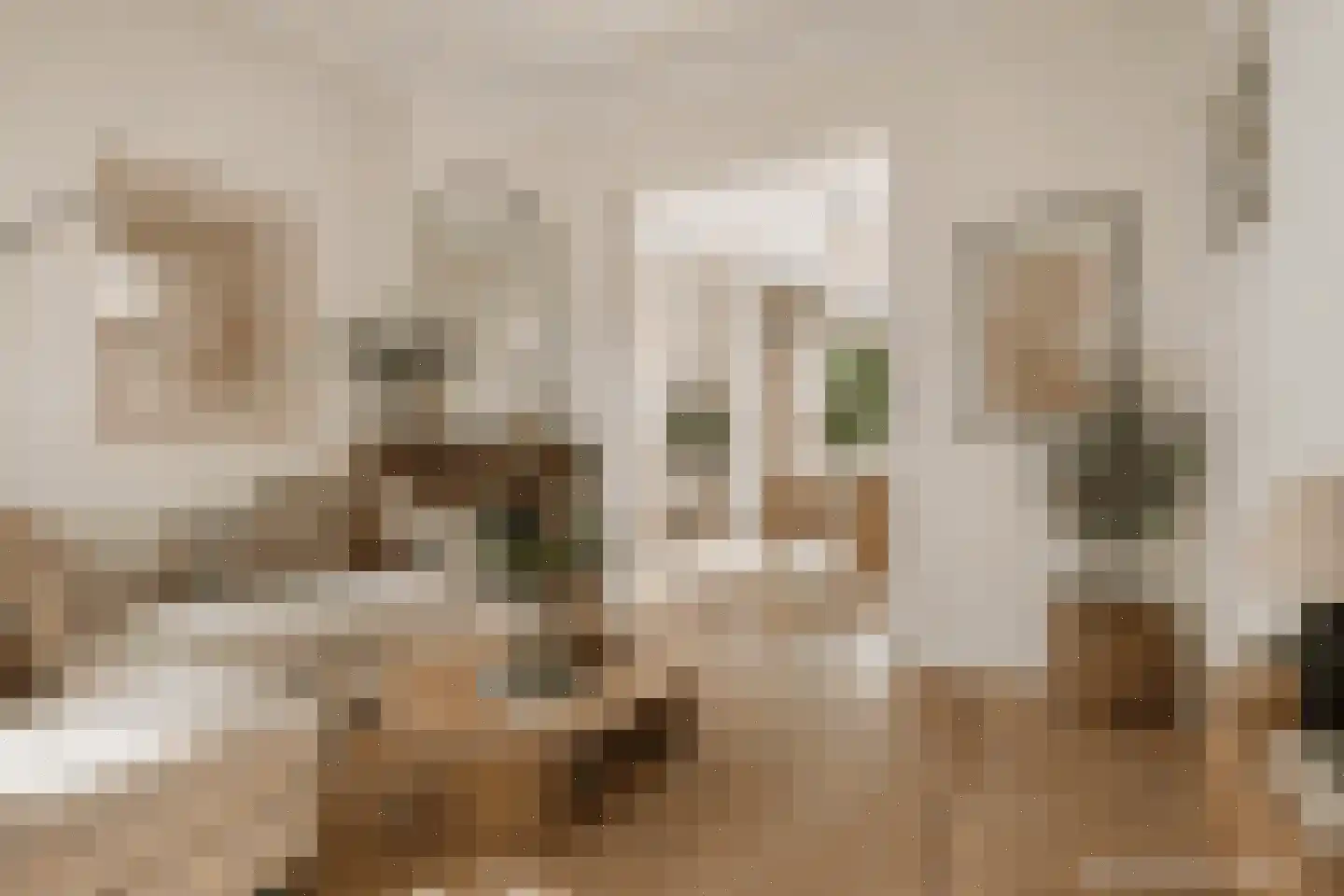 Breitnerstraat 71 Arnhem thumbnail 8