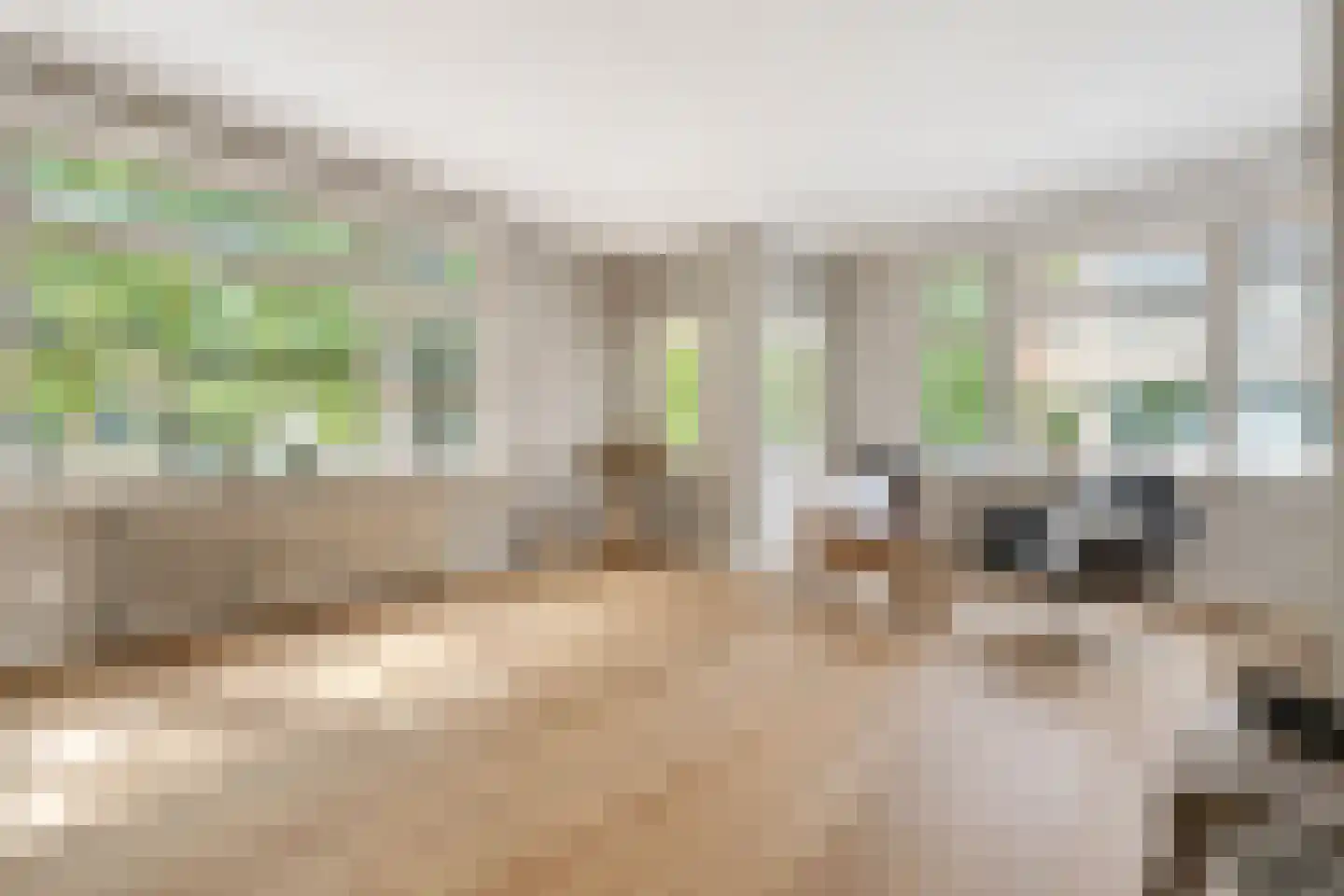 Breitnerstraat 76 B Rotterdam thumbnail 17