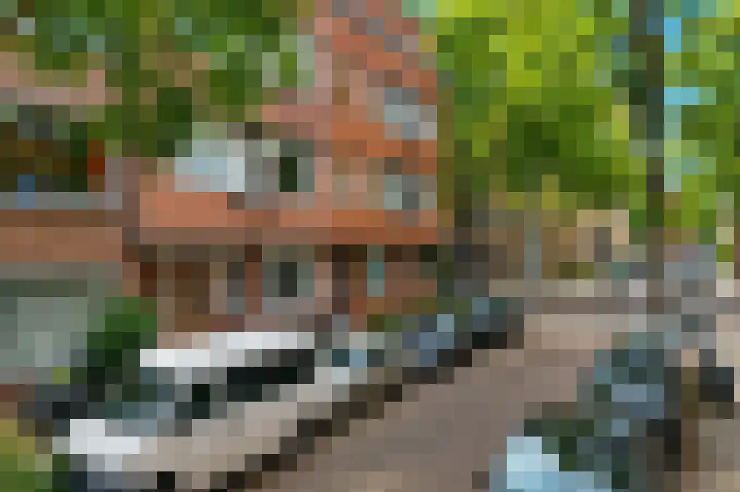 Breitnerstraat 76 B Rotterdam thumbnail 6