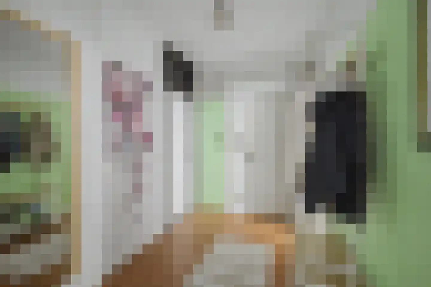 Breitnerstraat 77 Terneuzen thumbnail 18