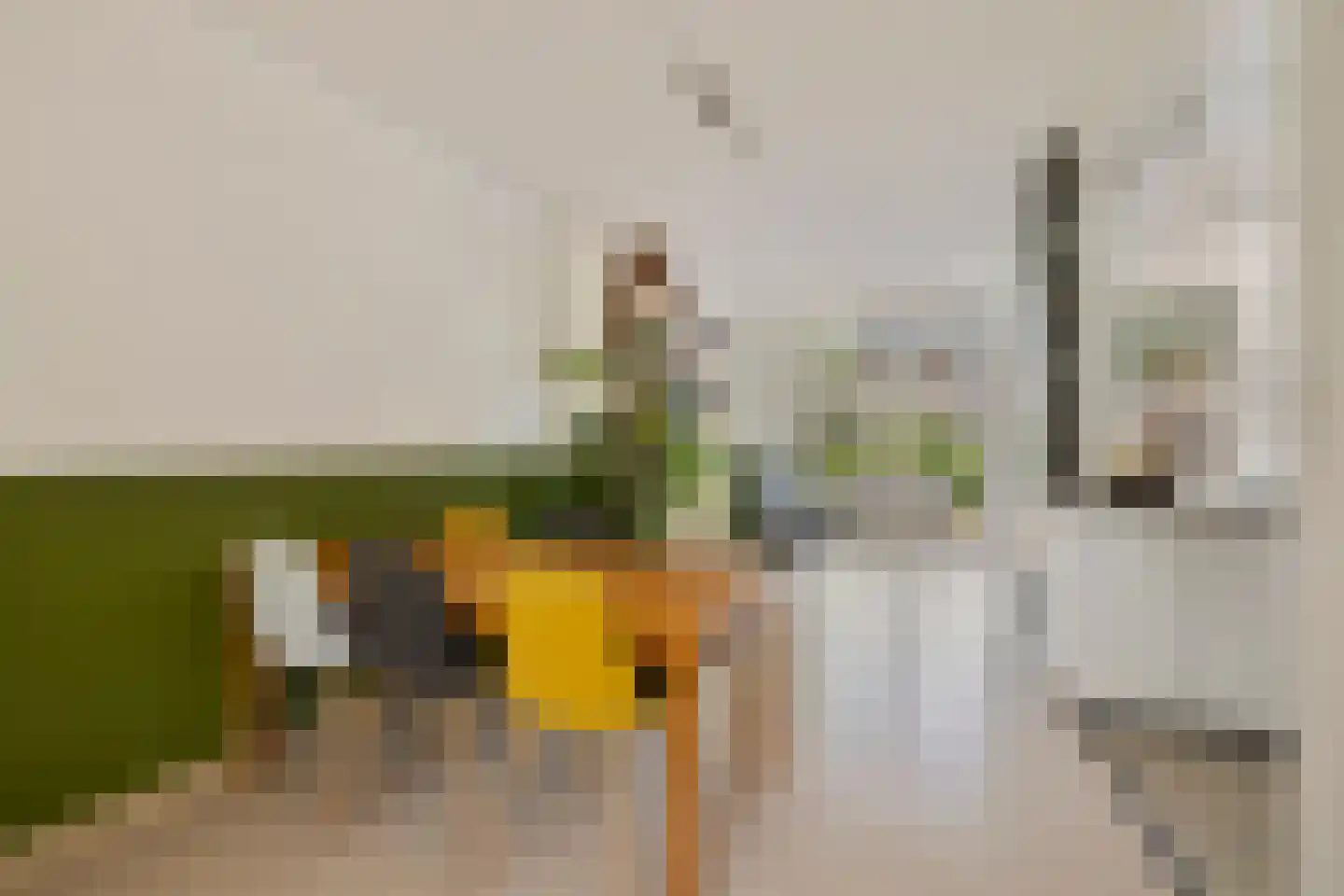 Breitnerstraat 8 Woerden thumbnail 4