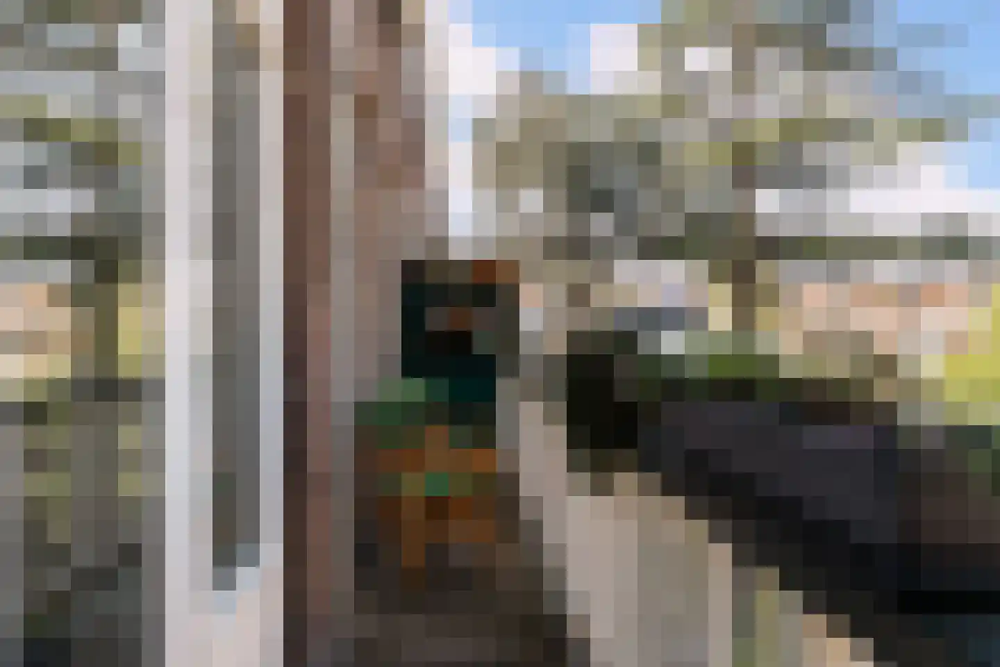 Breitnerstraat 81 A Rotterdam thumbnail 17