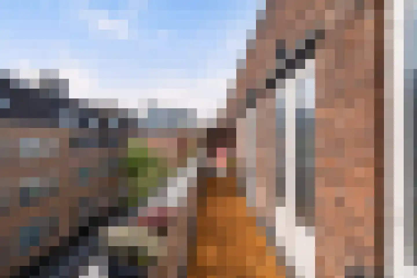 Breitnerstraat 81 A Rotterdam thumbnail 30