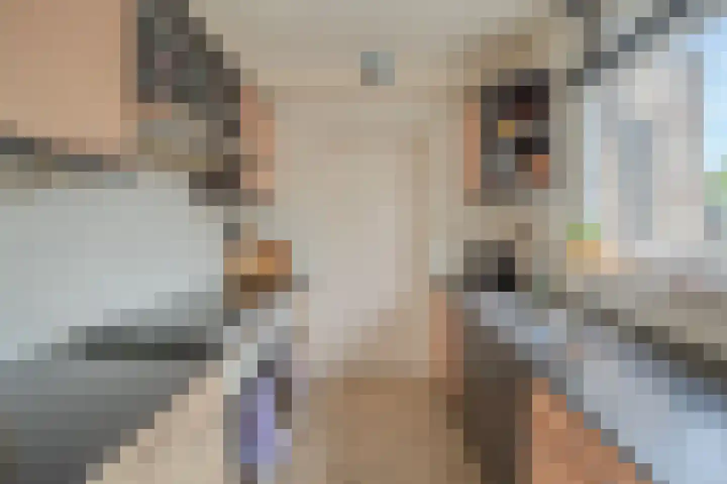 Breitnerstraat 91 Goes thumbnail 14