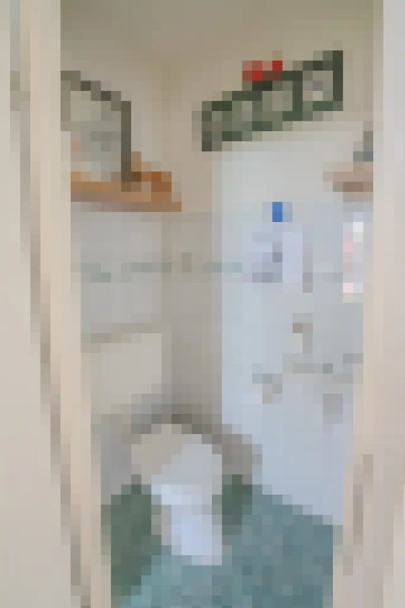 Breitnerstraat 91 Goes thumbnail 17