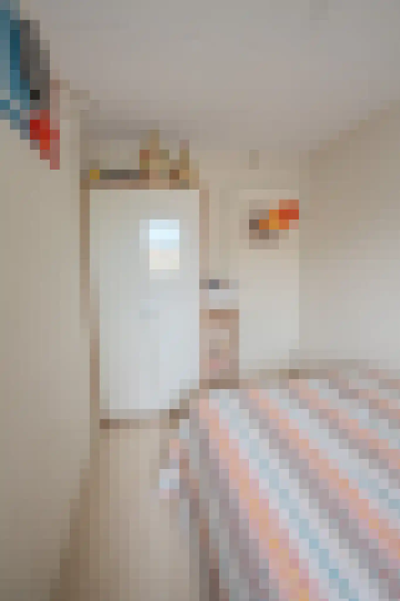 Breitnerstraat 91 Goes thumbnail 21