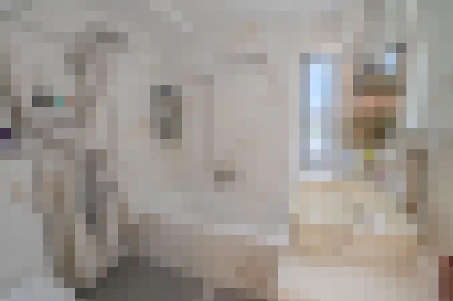 Breitnerstraat 91 Goes thumbnail 25