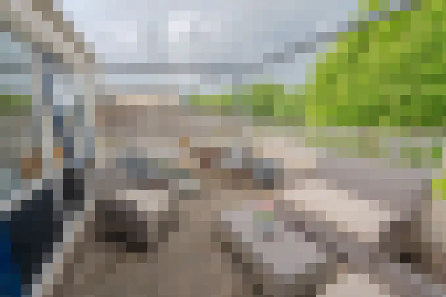 Breitnerstraat 91 Goes thumbnail 28