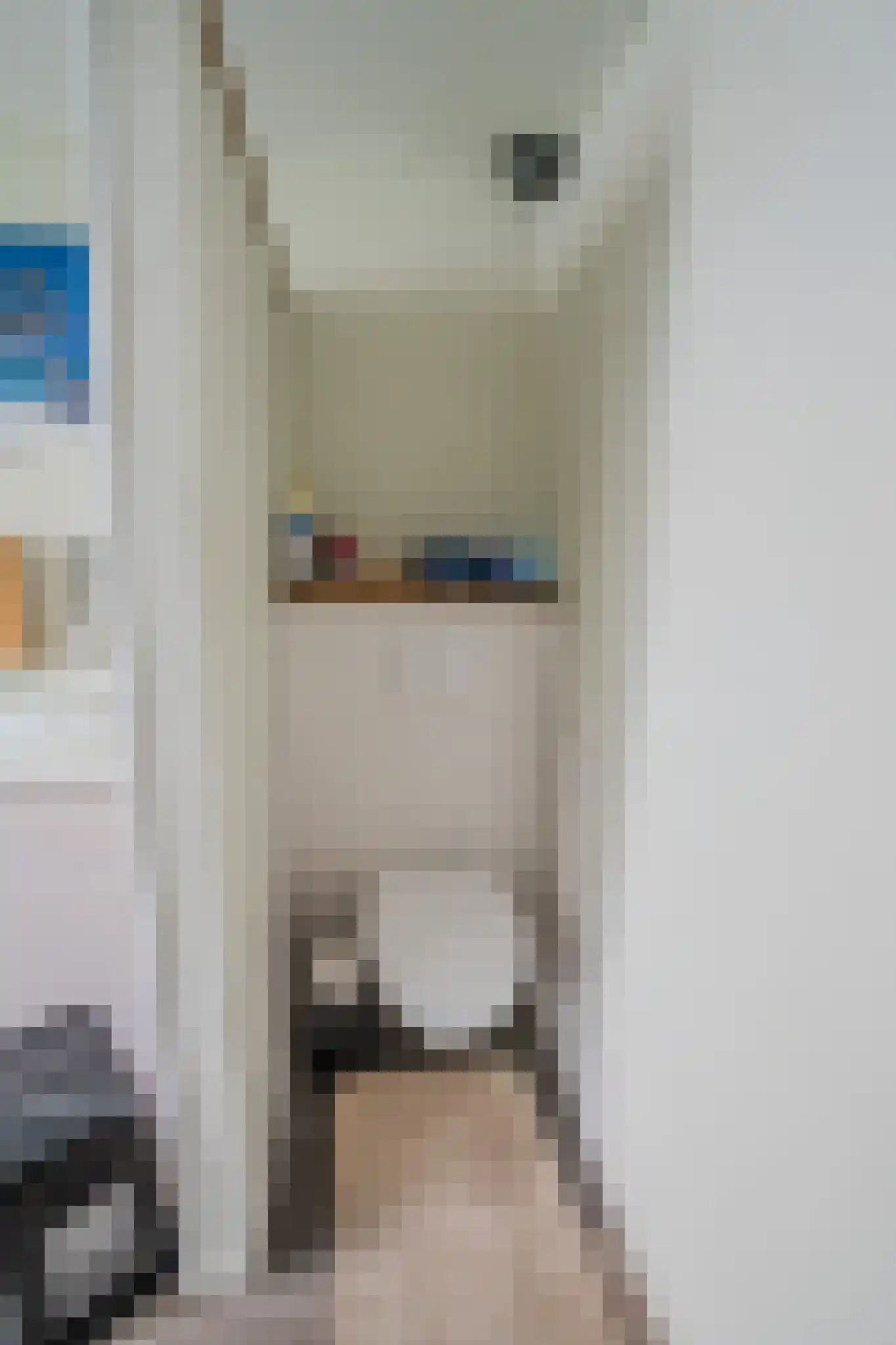 Breitnerstraat 91 Goes thumbnail 32