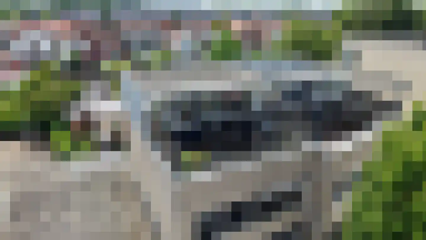 Breitnerstraat 91 Goes thumbnail 34