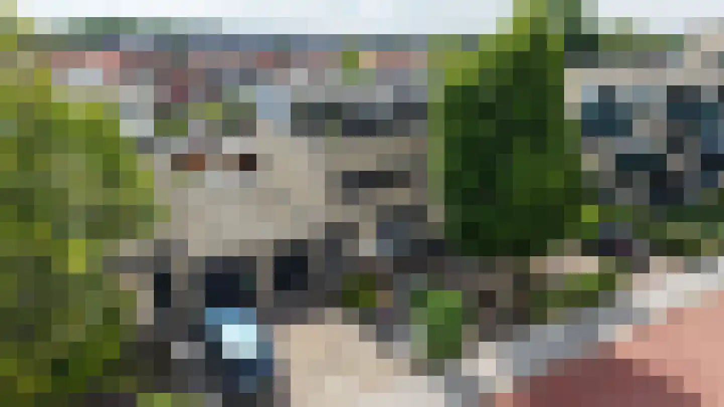 Breitnerstraat 91 Goes thumbnail 35