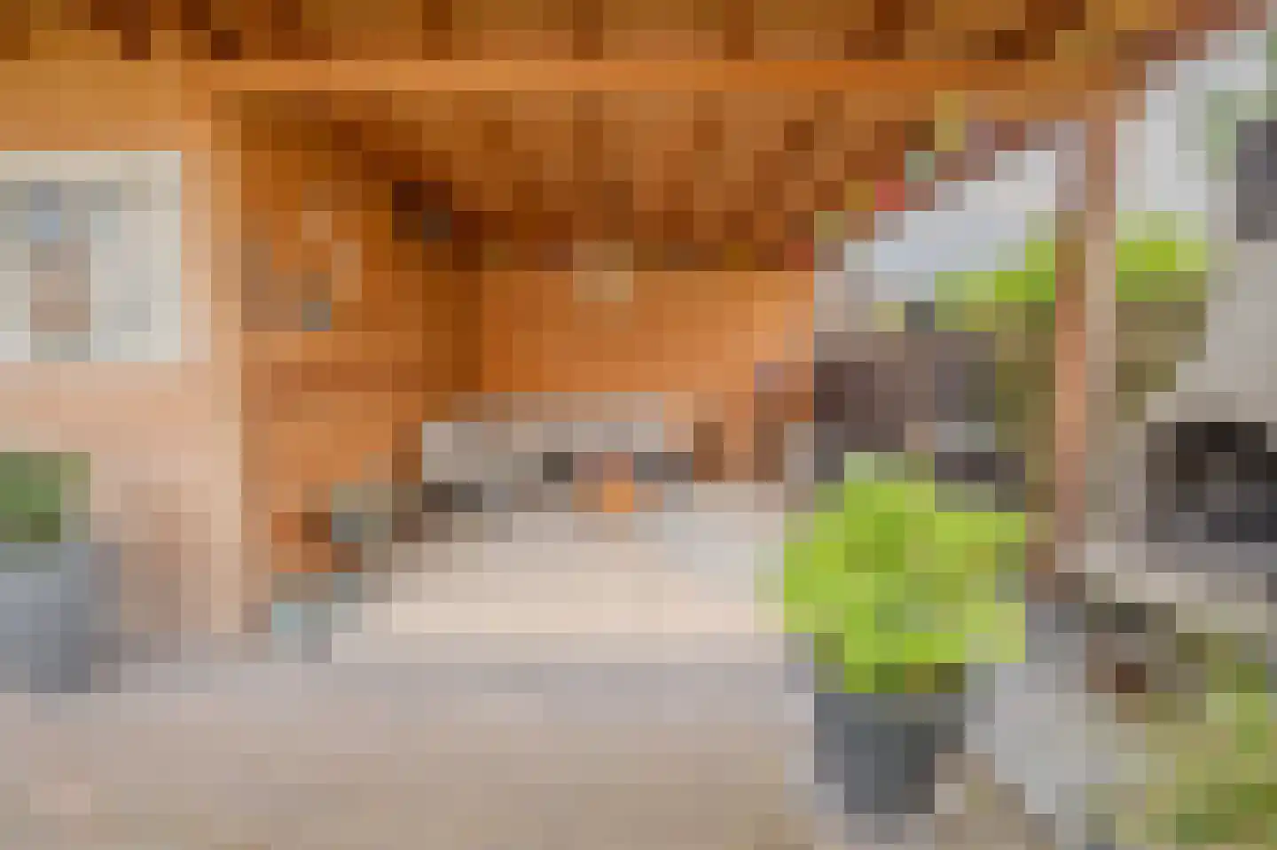 Breitnerstraat 91 Goes thumbnail 8