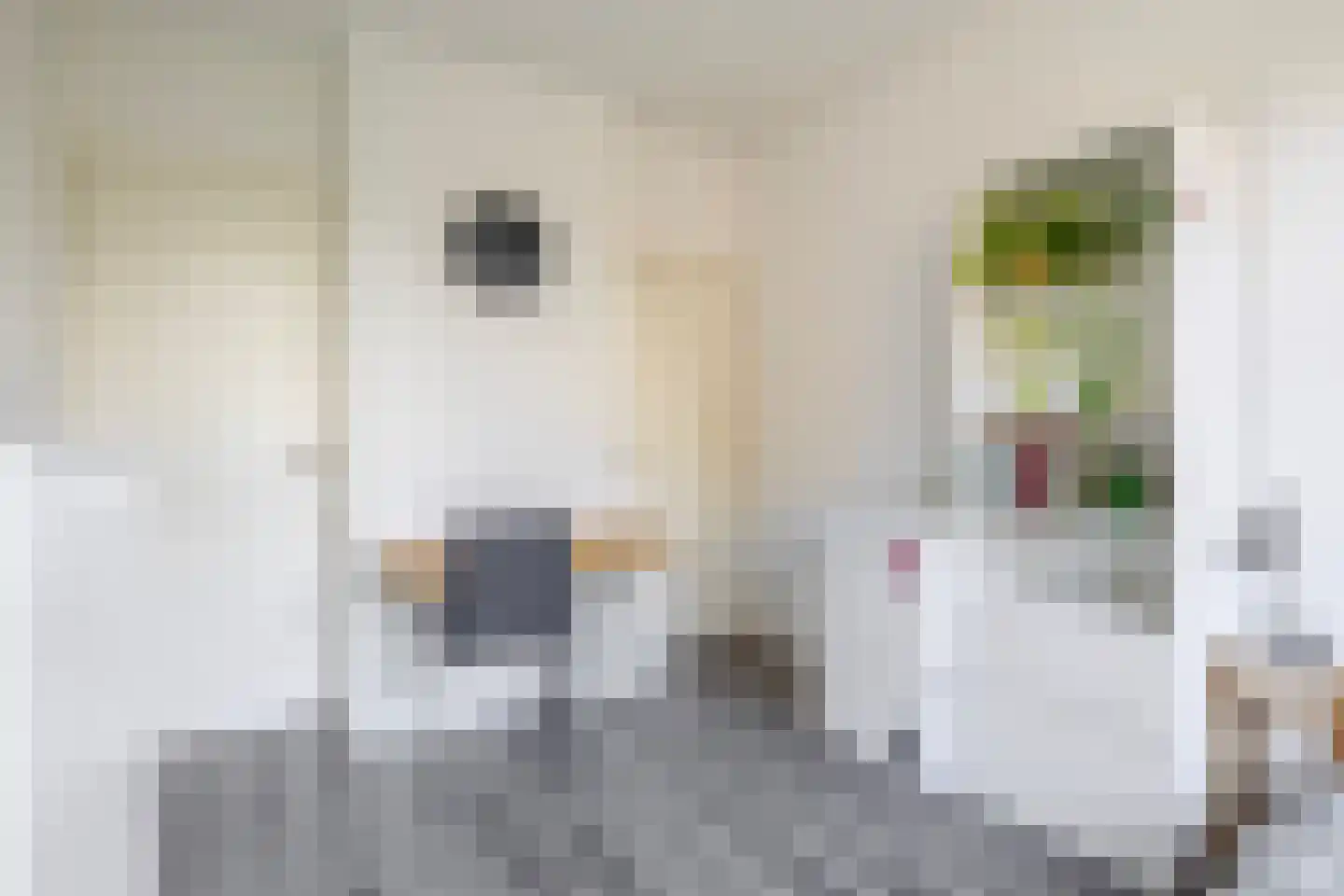 Breitnerstraat 99 C Rotterdam thumbnail 31