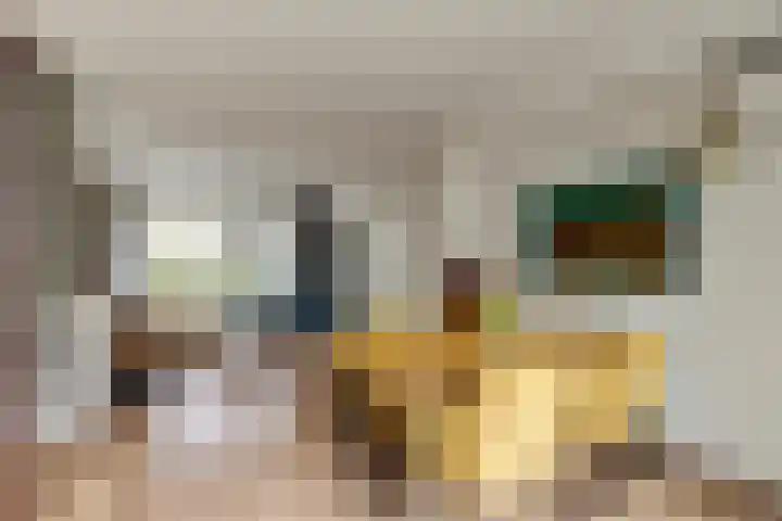 Brejaartstraat 1 Raamsdonksveer thumbnail 14