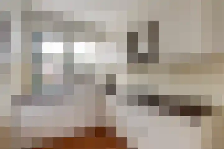 Brejaartstraat 1 Raamsdonksveer thumbnail 15