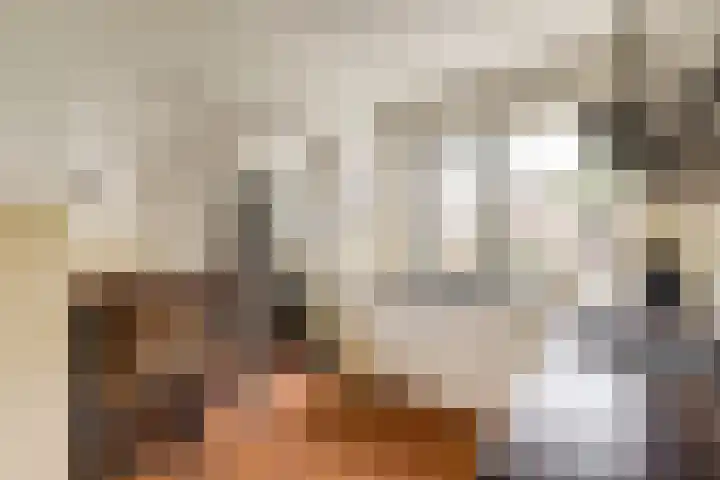 Brejaartstraat 1 Raamsdonksveer thumbnail 16