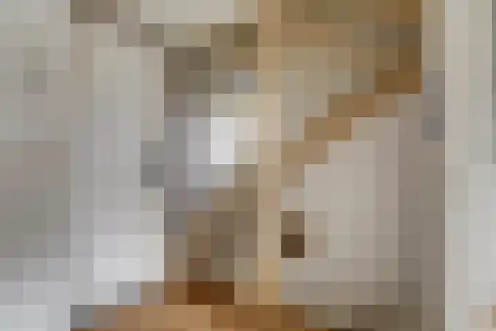 Brejaartstraat 1 Raamsdonksveer thumbnail 22