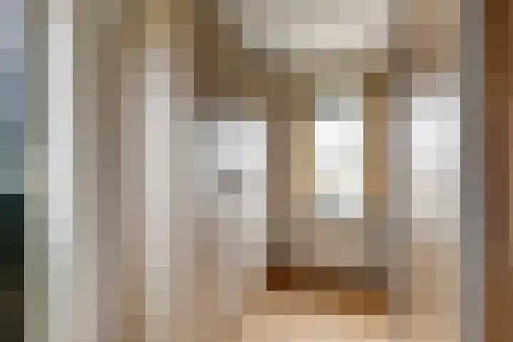 Brejaartstraat 1 Raamsdonksveer thumbnail 25