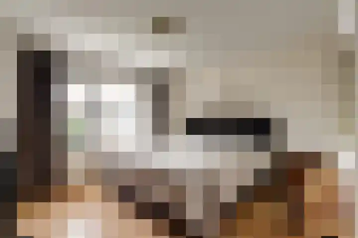 Brejaartstraat 1 Raamsdonksveer thumbnail 27