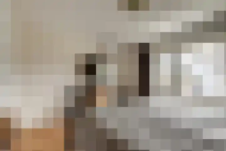 Brejaartstraat 1 Raamsdonksveer thumbnail 28
