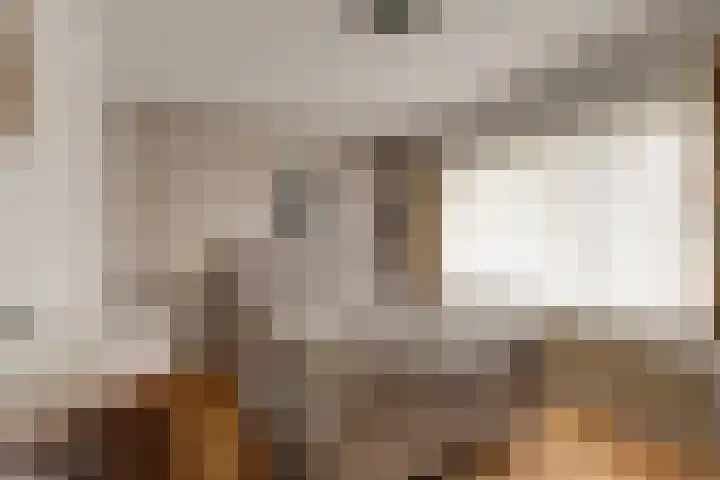Brejaartstraat 1 Raamsdonksveer thumbnail 29
