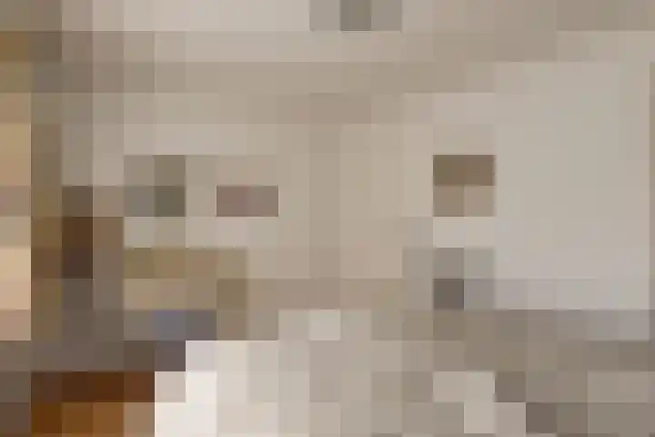 Brejaartstraat 1 Raamsdonksveer thumbnail 30