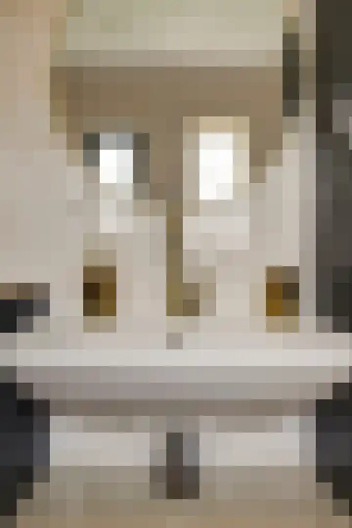 Brejaartstraat 1 Raamsdonksveer thumbnail 32