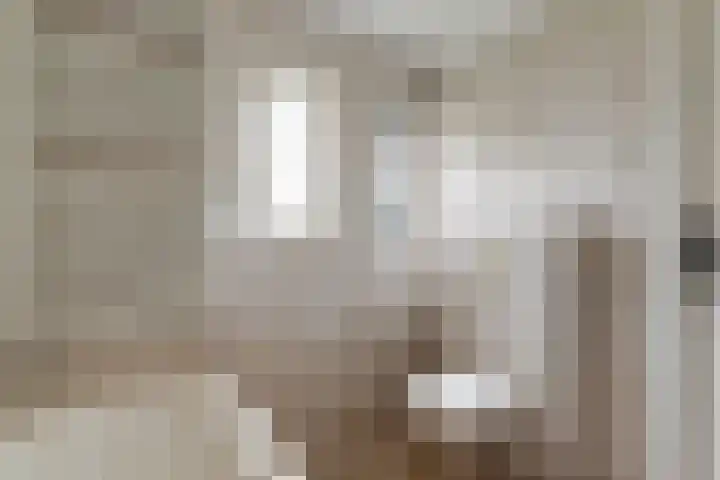 Brejaartstraat 1 Raamsdonksveer thumbnail 33