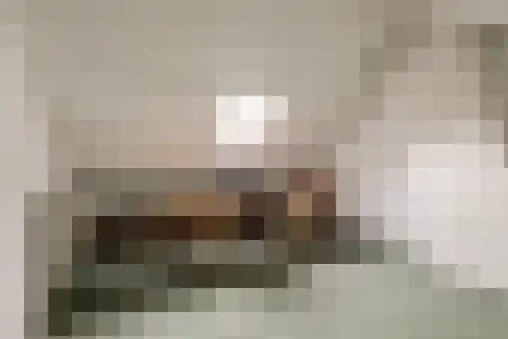 Brejaartstraat 1 Raamsdonksveer thumbnail 38