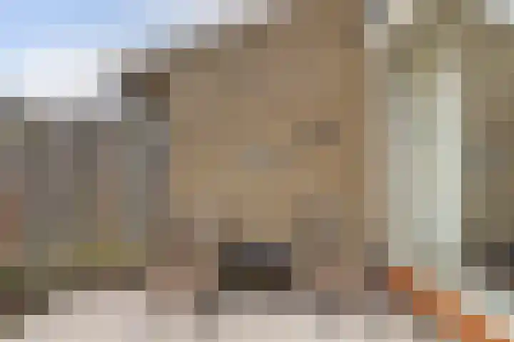 Brejaartstraat 1 Raamsdonksveer thumbnail 42
