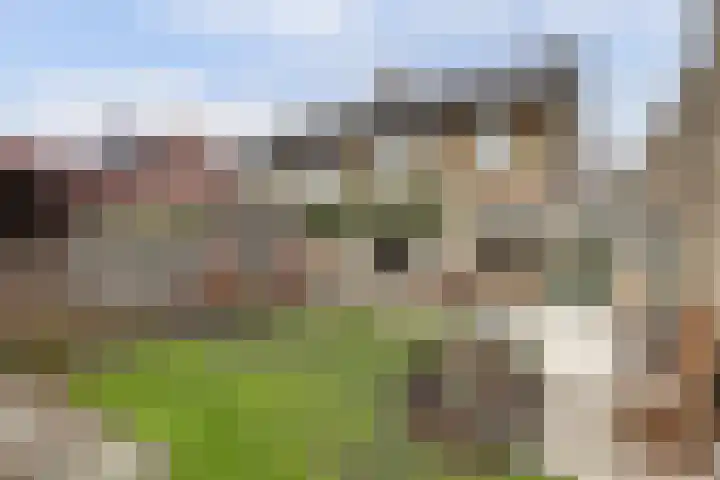 Brejaartstraat 1 Raamsdonksveer thumbnail 43