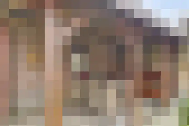 Brejaartstraat 1 Raamsdonksveer thumbnail 44