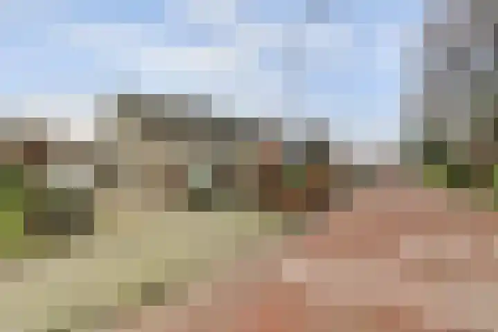 Brejaartstraat 1 Raamsdonksveer thumbnail 48
