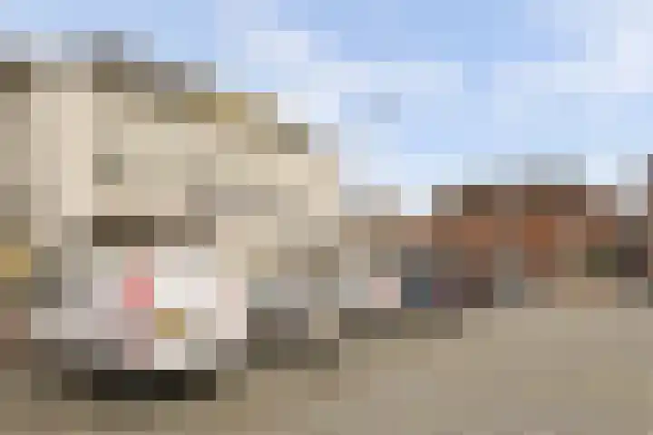 Brejaartstraat 1 Raamsdonksveer thumbnail 52