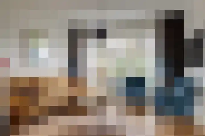 Brejaartstraat 1 Raamsdonksveer thumbnail 8