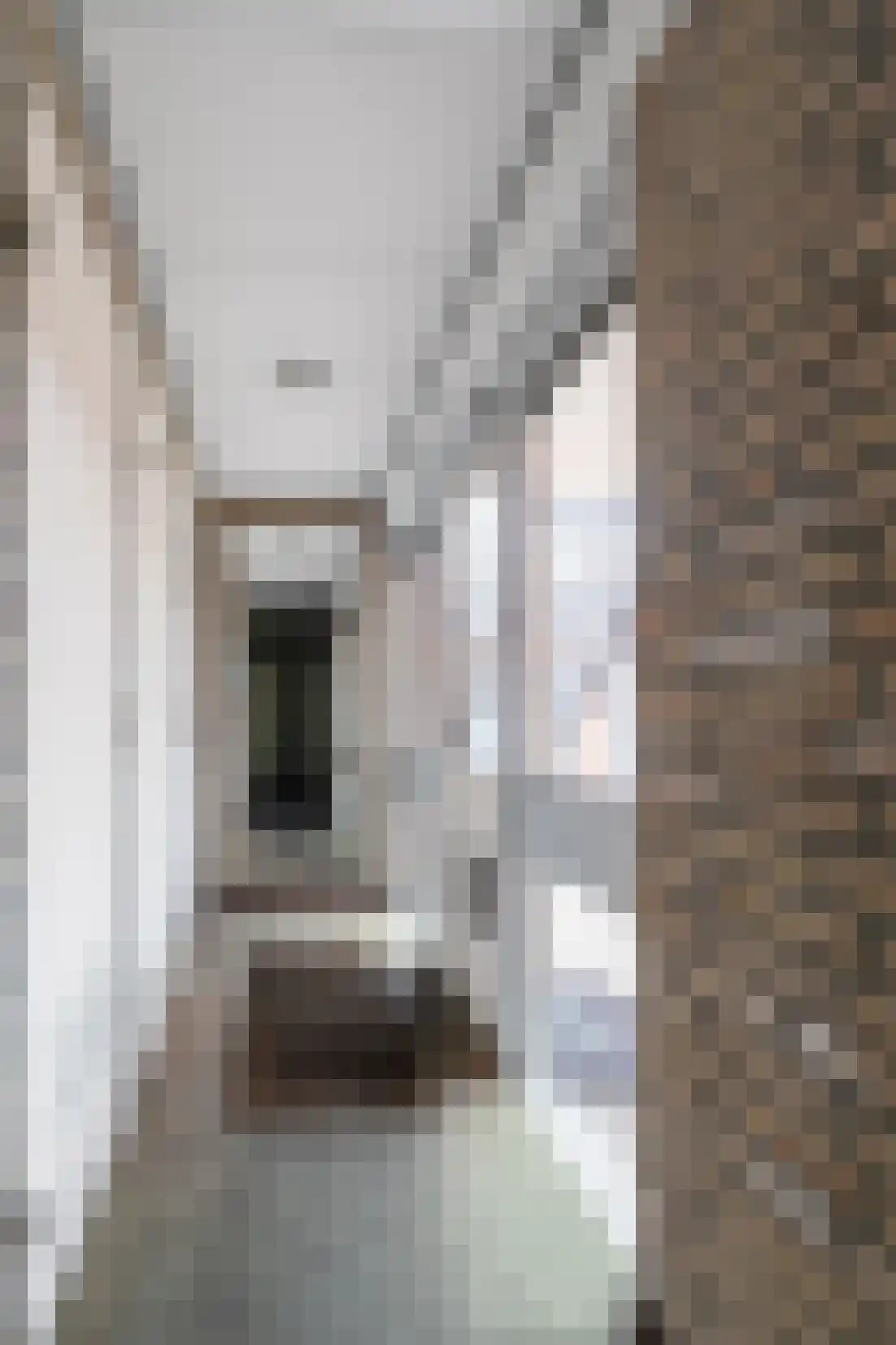 Brejaartstraat 43 Raamsdonksveer thumbnail 11