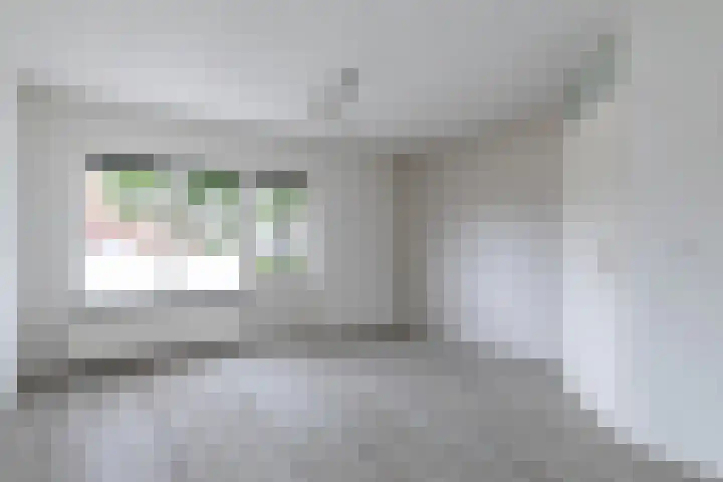 Brejaartstraat 43 Raamsdonksveer thumbnail 16