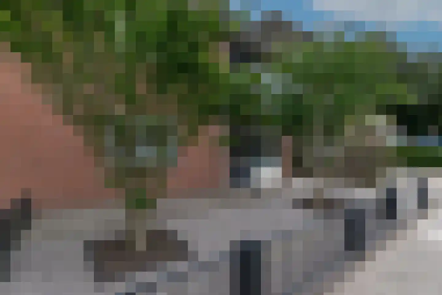 Brejaartstraat 43 Raamsdonksveer thumbnail 7