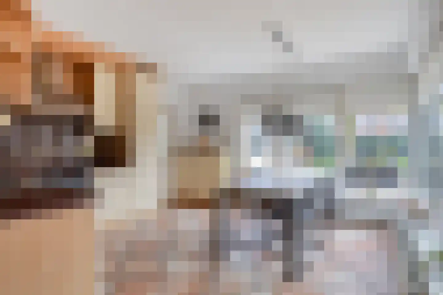 Brekeling 4 Etten-Leur thumbnail 16