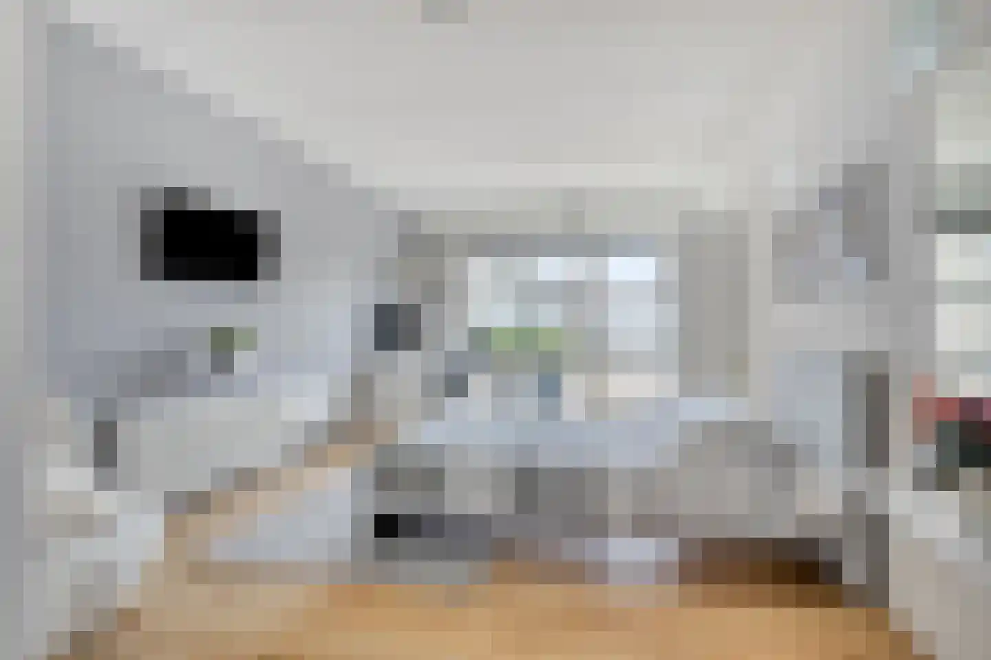 Brekeling 4 Etten-Leur thumbnail 21
